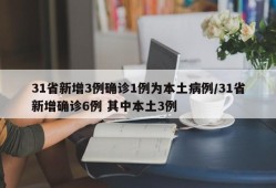 31省新增3例确诊1例为本土病例/31省新增确诊6例 其中本土3例